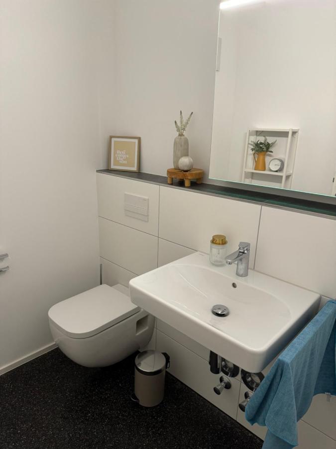 Isaak Appartment Stadtjuwel Waldshut-Tiengen Ngoại thất bức ảnh