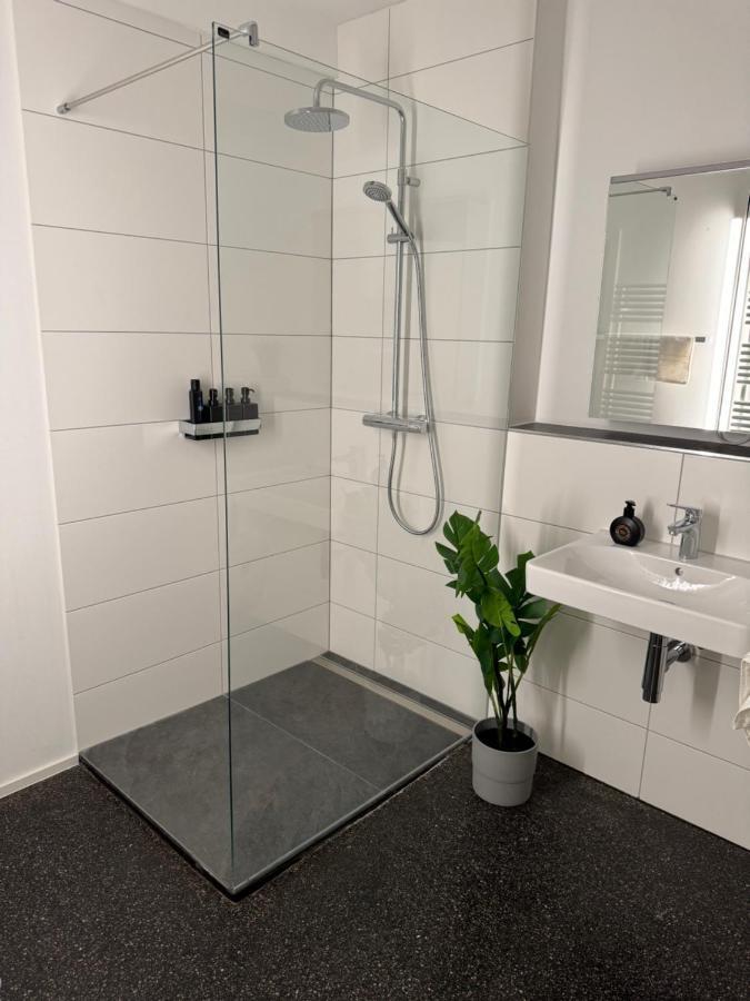Isaak Appartment Stadtjuwel Waldshut-Tiengen Ngoại thất bức ảnh
