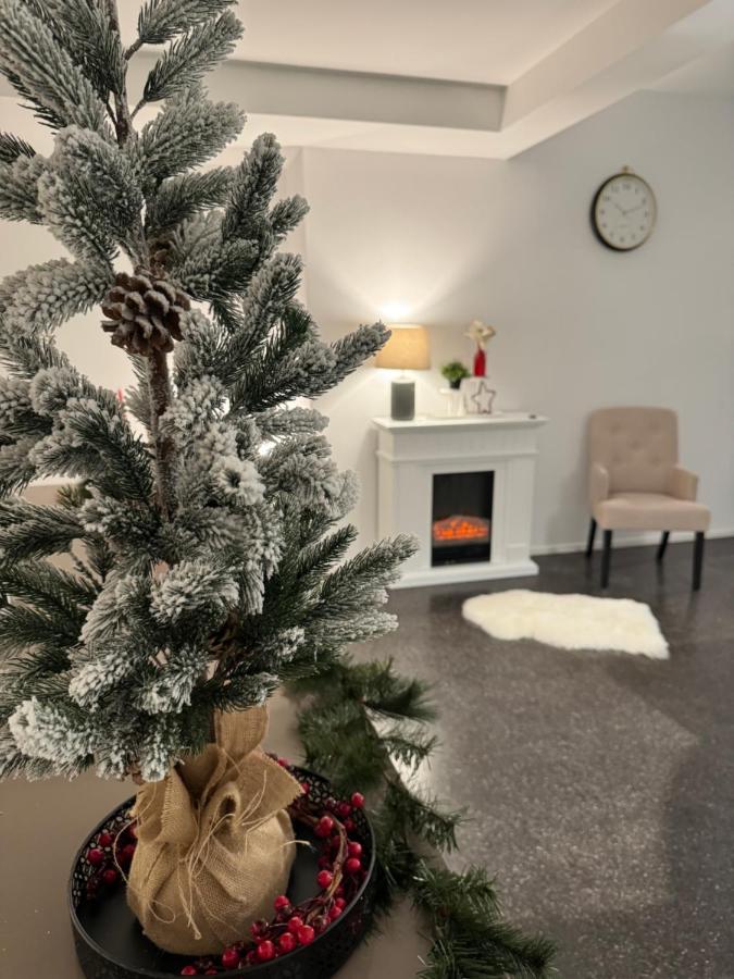 Isaak Appartment Stadtjuwel Waldshut-Tiengen Ngoại thất bức ảnh