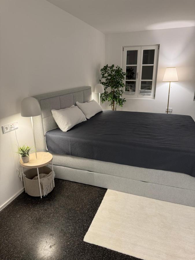 Isaak Appartment Stadtjuwel Waldshut-Tiengen Ngoại thất bức ảnh