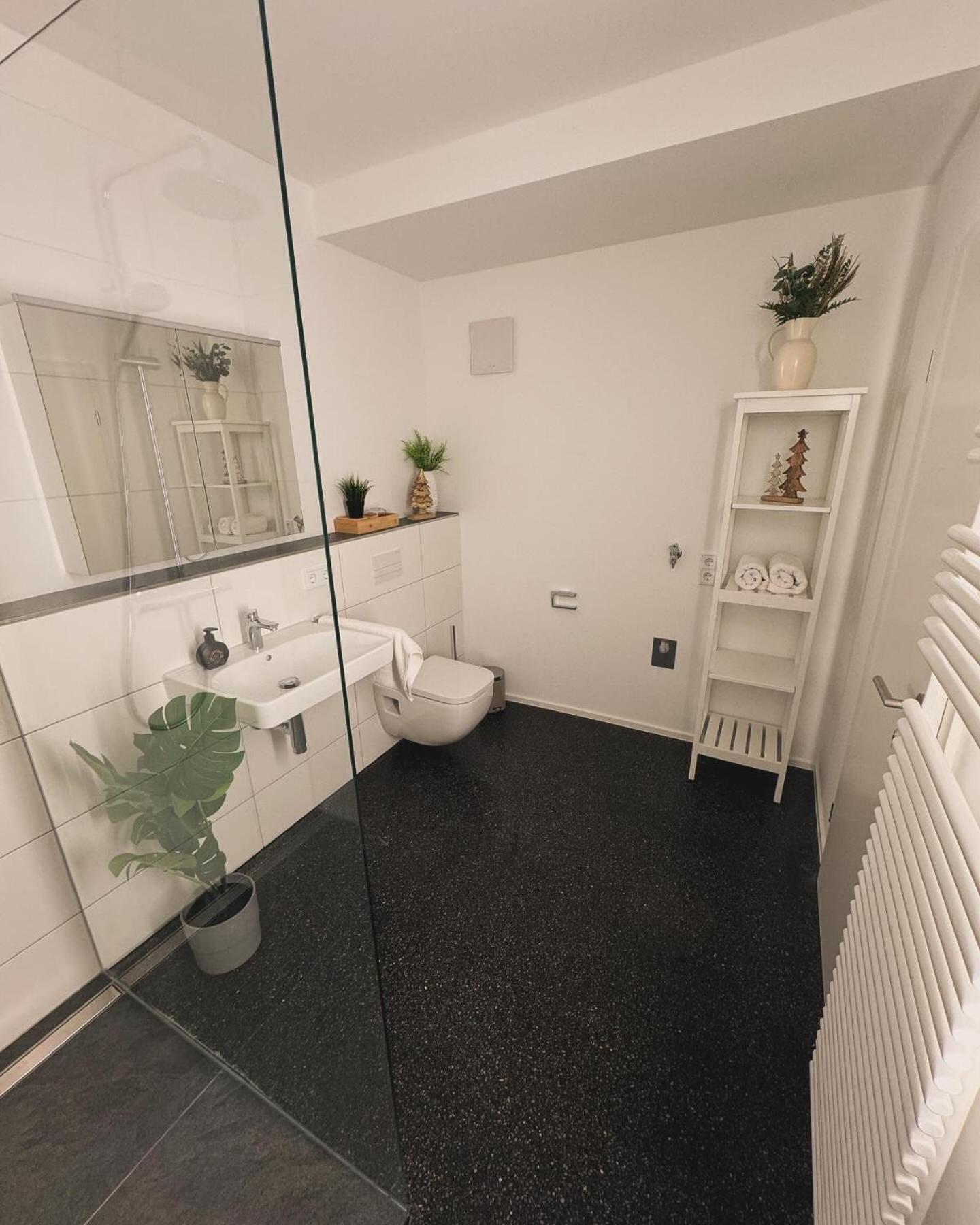 Isaak Appartment Stadtjuwel Waldshut-Tiengen Ngoại thất bức ảnh
